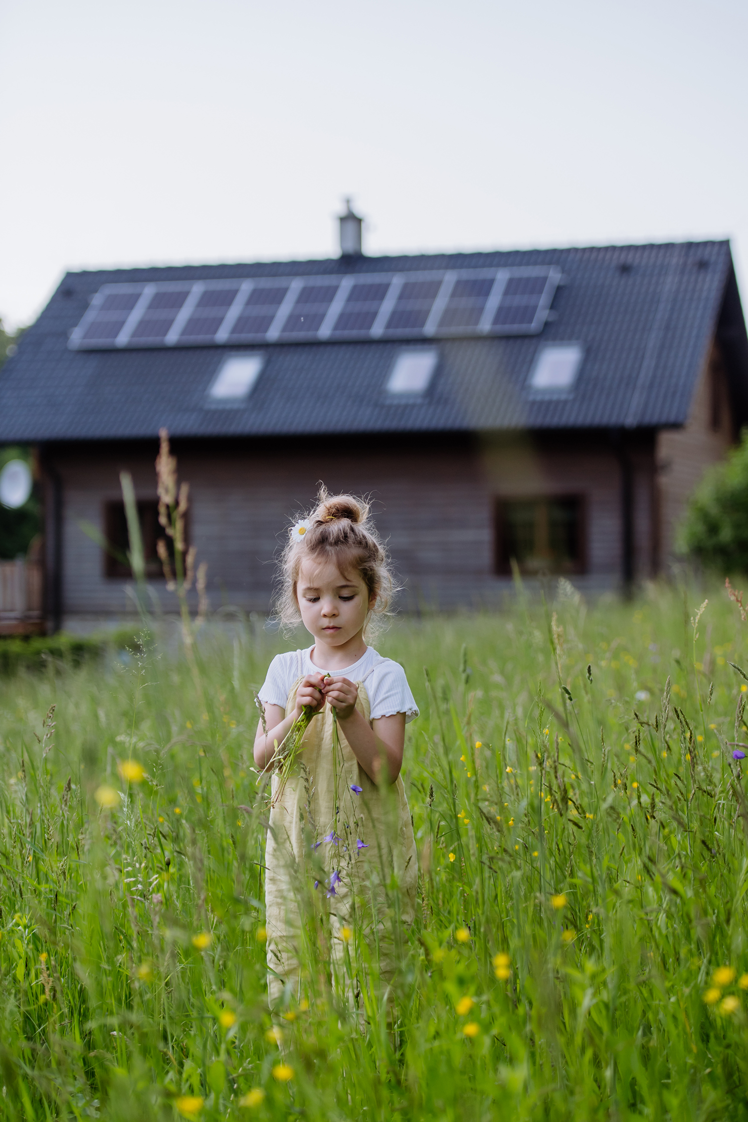 zonne-energie-zonnepanelen